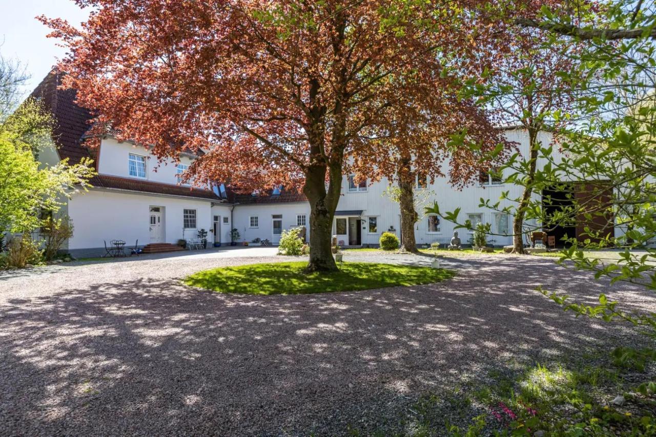 Denkerhof Ferienwohnung Deichblick Reussenkoge ภายนอก รูปภาพ